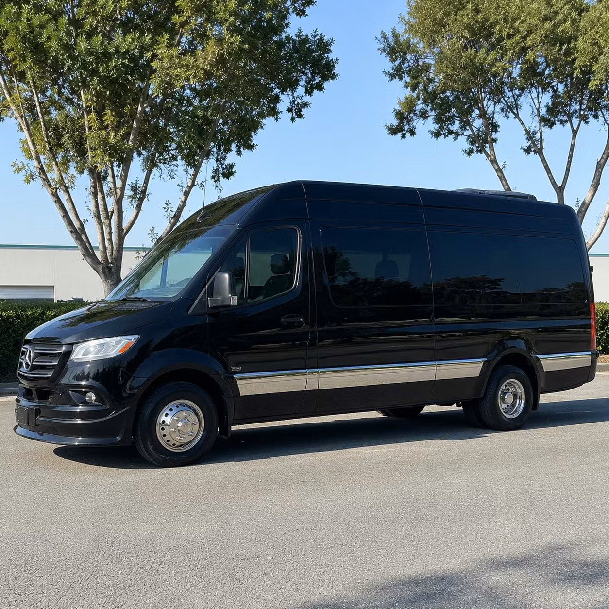 sprinter van with driver